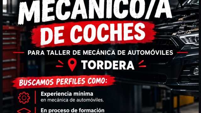 Mecánico/a