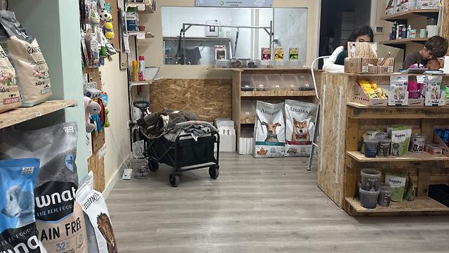 Oficial de Peluquería