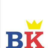 Bricoking logo