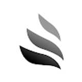 Fimax A. avatar icon