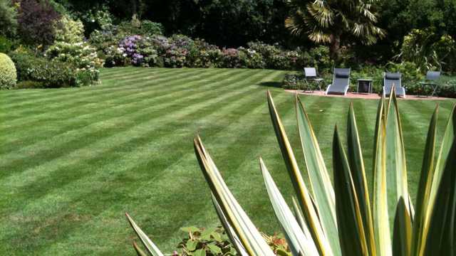 Landscaper