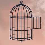 Valerio A. avatar icon