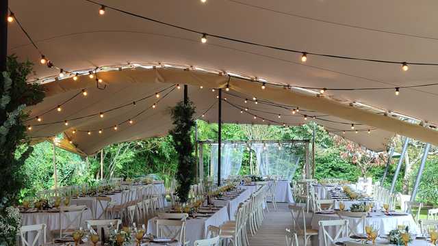 Personal de sala y eventos