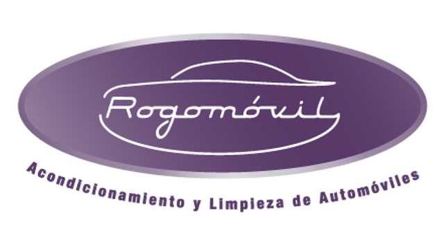 LIMPIADOR DE COCHES EN BURGOS