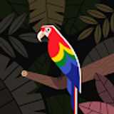 Central operaciones P. avatar icon