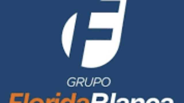 Limpiador/a