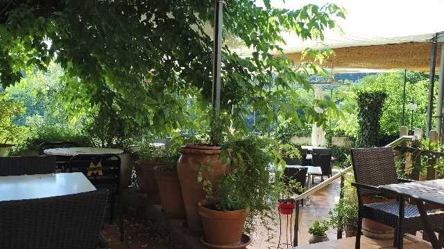 Ayudante/a de Cocina