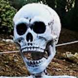 pepwachy  avatar icon