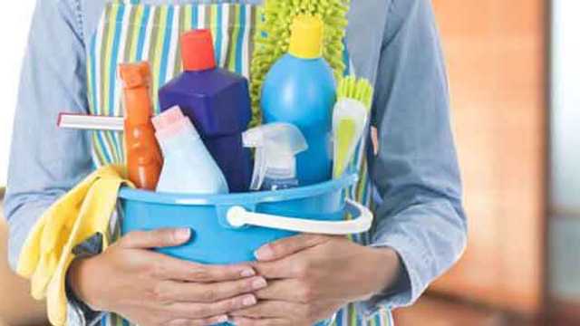 Empleado/a del Hogar