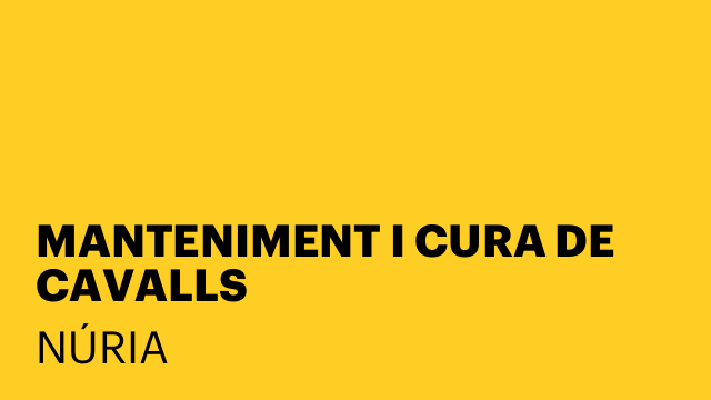 MANTENIMENT I CURA DE CAVALLS