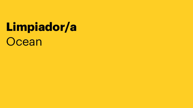 Limpiador/a