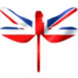 Academia de inglés - English Time Jerez  avatar icon