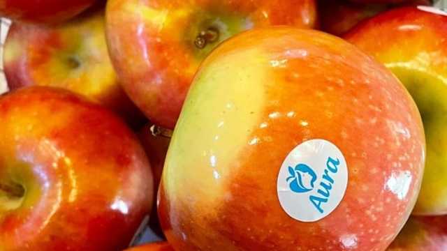 Auxiliar Administrativo/a