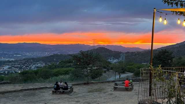 Camarero/a de Sala/Terraza