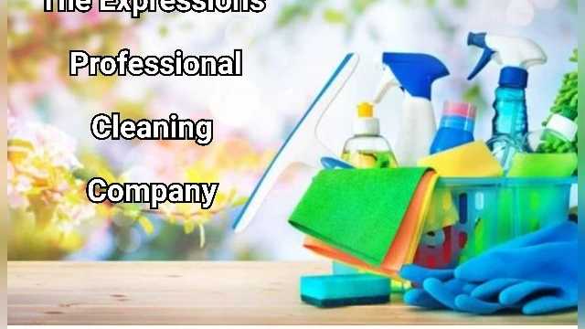 Cleaner
