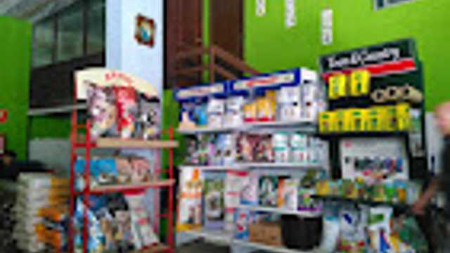 Dependiente/a de Tienda