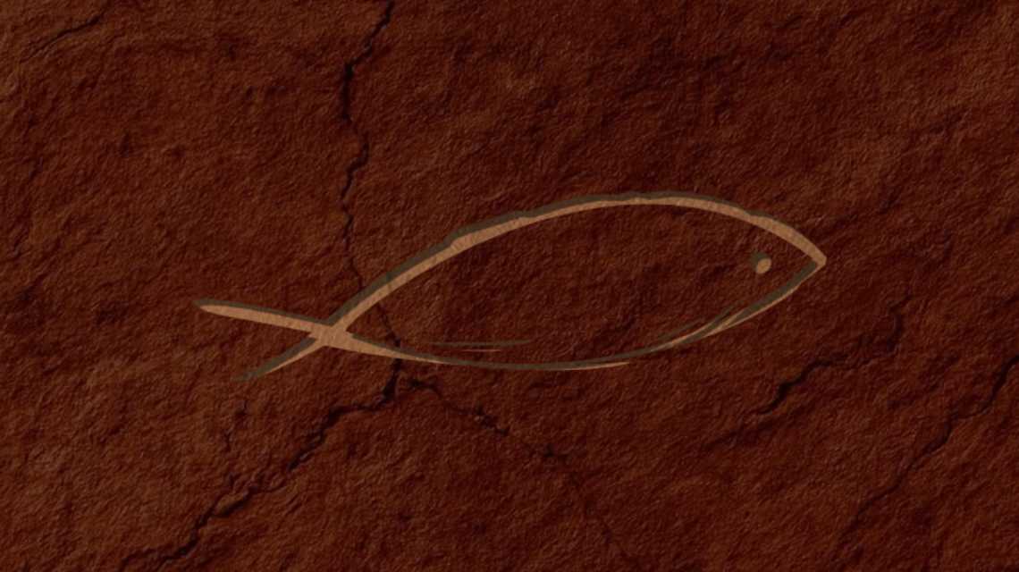 SAKANAYA FUENGIROLA  cover image