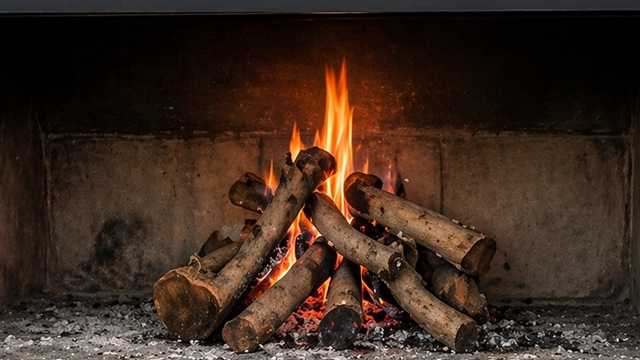 COCINERO/A Y AUXILIAR DE COCINA