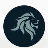 LionRise Enterprise  logo