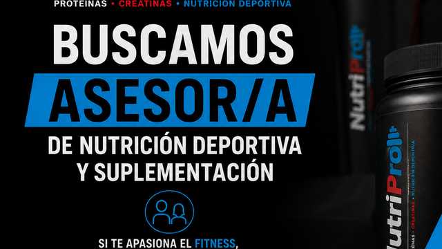Asesor/a