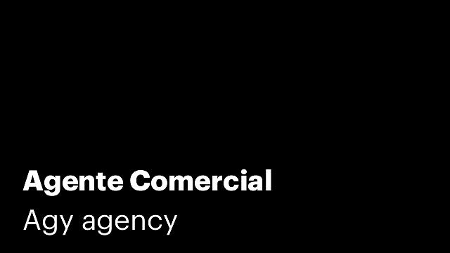 Agente Comercial