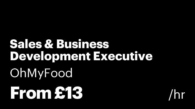 Sales & Business Development Executive