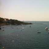 Javier V. avatar icon