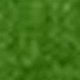 Carlos P. avatar icon