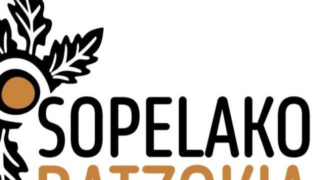 Ayudante/a de Cocina