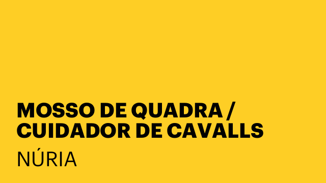MOSSO DE QUADRA / CUIDADOR DE CAVALLS