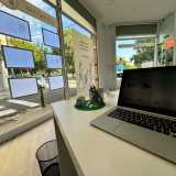 Eliana L. avatar icon