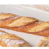 Panadería Cafetería  logo