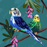 avatar icon