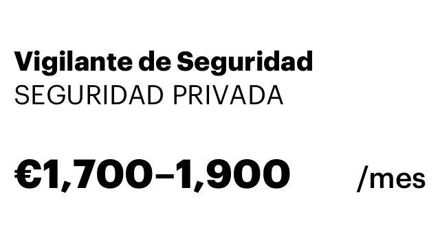 Vigilante de Seguridad