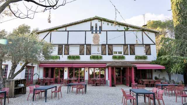 Ayudante de Camarero/a