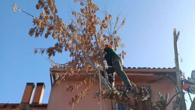 Peón de jardinería