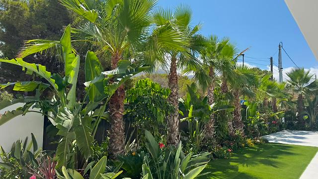 Ayudante/a de Jardinería