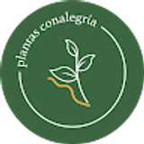 Plantas ConAlegria  avatar icon