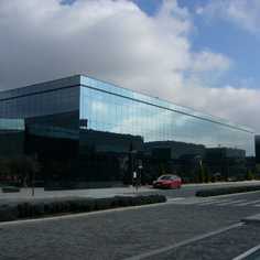 company photo