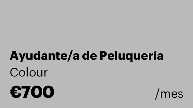 Ayudante/a de Peluquería