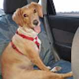 Verónica P. avatar icon