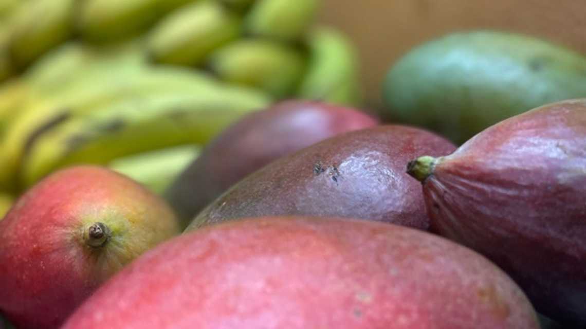 Teteria almedina  cover image