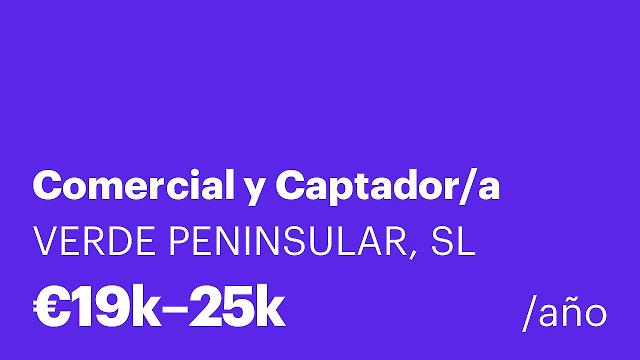 Comercial y Captador/a