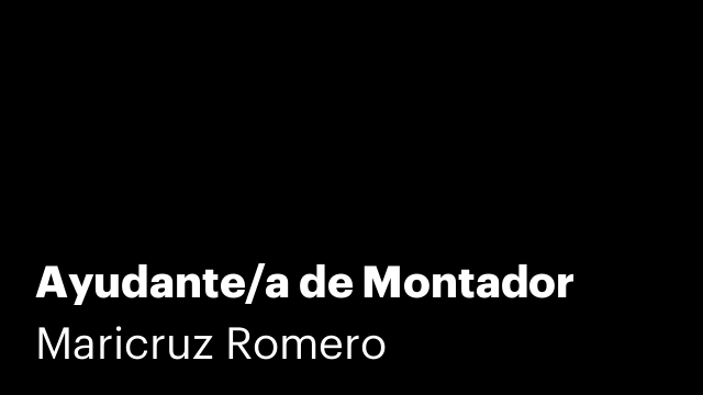 Ayudante/a de Montador
