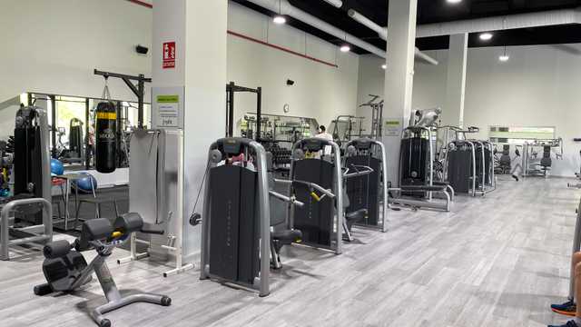 Entrenador/a