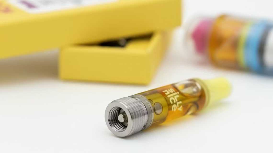 Silly Nice cover image