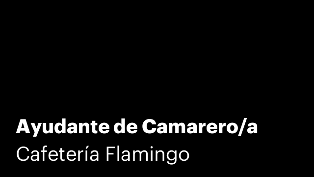 Ayudante de Camarero/a