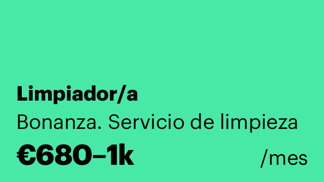 Limpiador/a