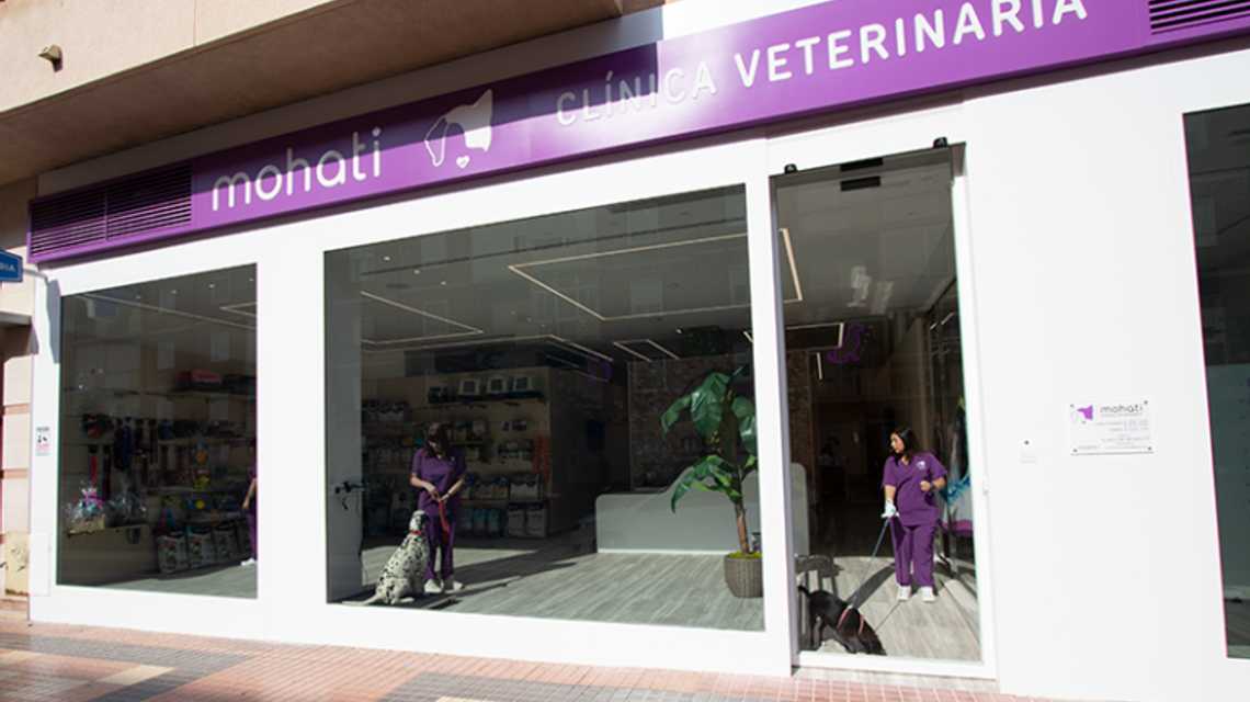 Clinica veterinaria Mohati  cover image