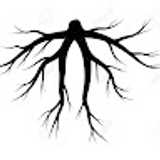 Ivan M. avatar icon